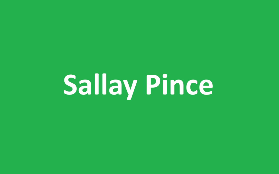 Sallay Pince